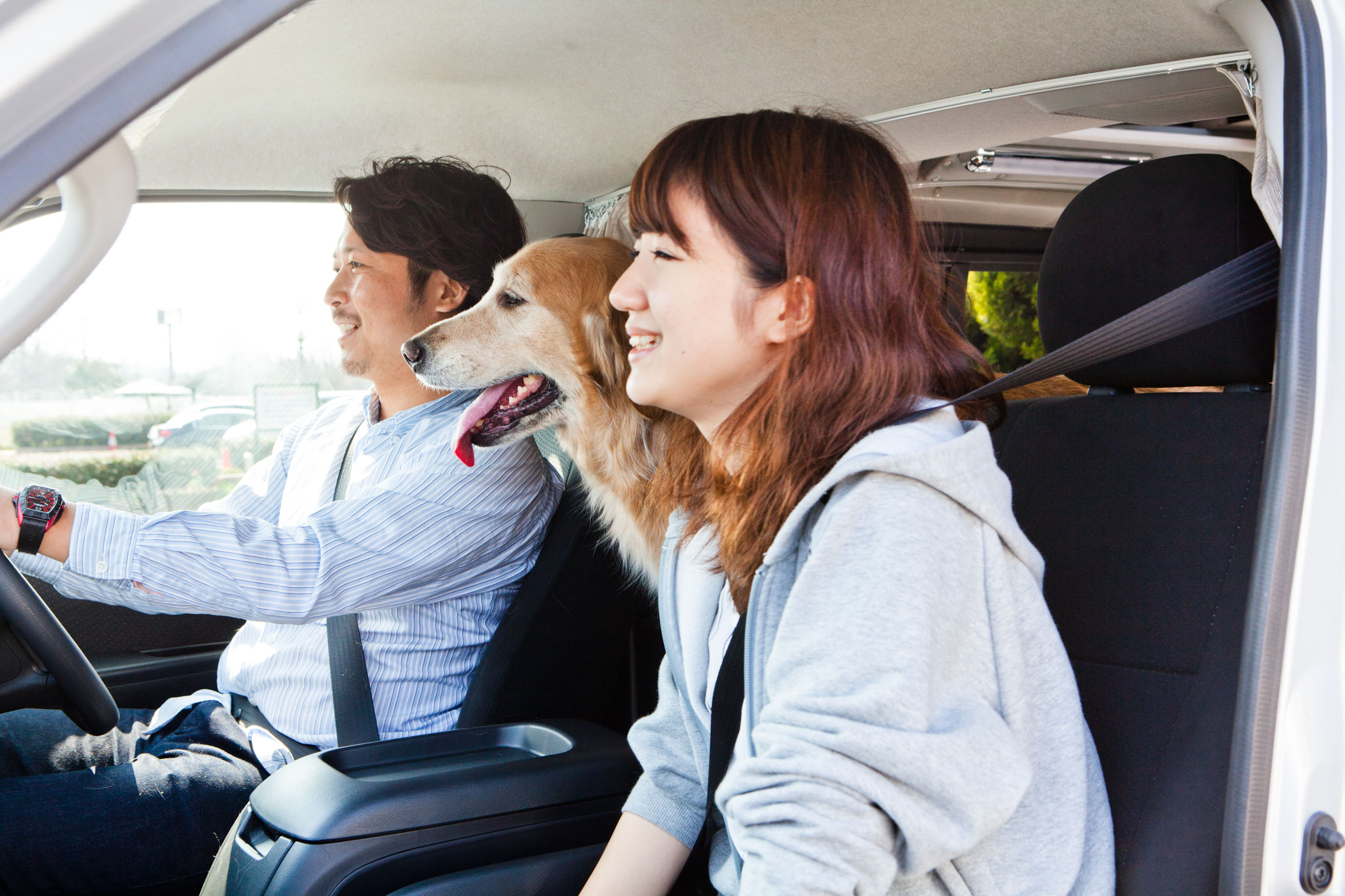 ペット×レンタルキャンピングカー利用動向調査 ペット連れに人気のエリアは静岡県 一緒にお出かけする人気の犬種ベスト３は？